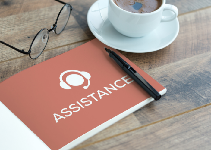 Virtual Assistance